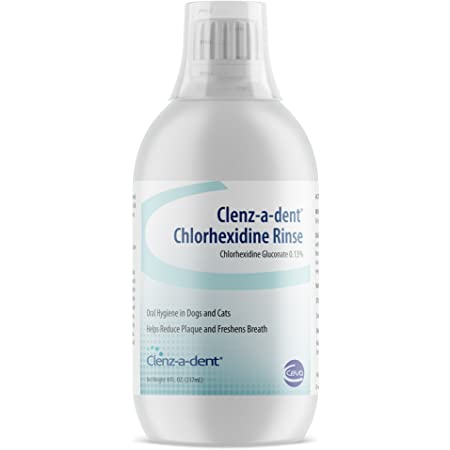 Clenz-A-Dent Chlorhexidine Rinse