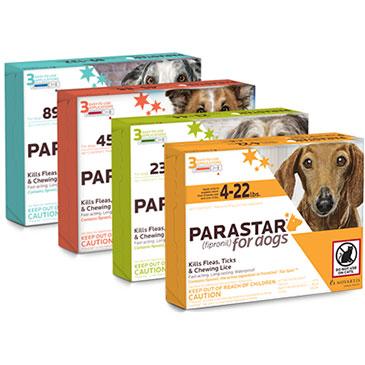 Parastar Dog