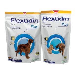 Flexadin Plus Chews