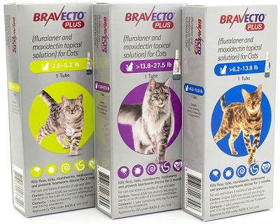 Bravecto PLUS Topical for cats