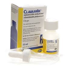 Clavamox Drops