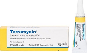 Terramycin Opthalmic Ointment Oxytetracycline Hydrochloride