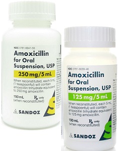 Amoxicillin Suspension