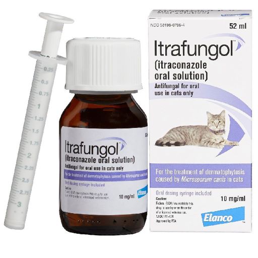 Itrafuncol Cat Itraconazole Oral Solution