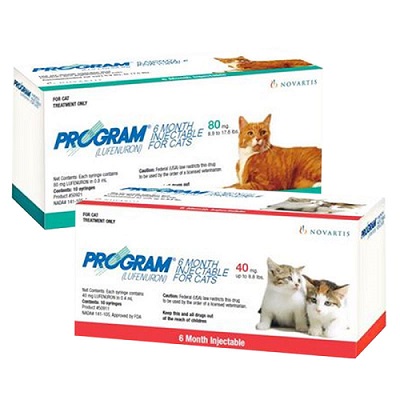 Program Injectable Cat