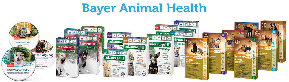 bayer-animal-health-unleashing-the-power-of-wellness-healthactivee