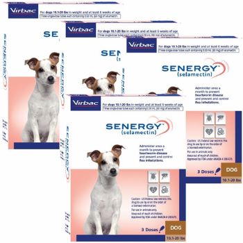 Senergy Dog (Selamectin)