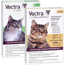 Vectra Cats and Kittens